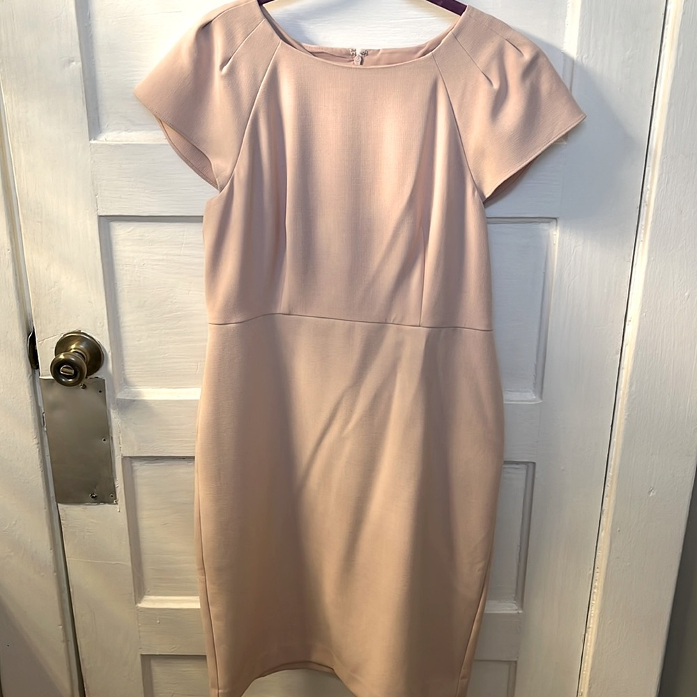 ANN TAYLOR dress